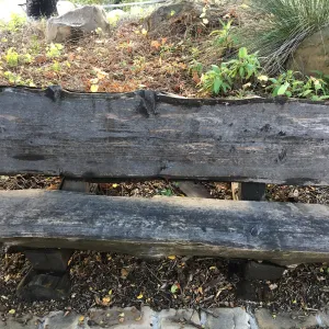 old redwood bench