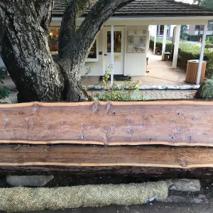 Katherine K Muller bench, in front of Garden shop