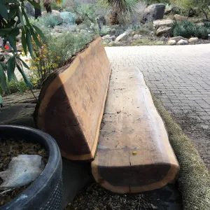 Katherine K Muller bench, in front of Garden shop