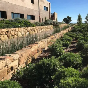 Pritzlaff Conservation Center west side, Island View Garden, Equisetum rill
