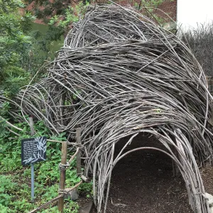 â€˜Branch Office' by David Lovejoy at the Urban Nature Garden at the Natural History Museum of Los Angeles