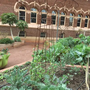 Urban Nature Garden at the Natural History Museum of Los Angeles