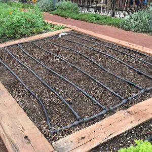 Urban Nature Garden at the Natural History Museum of Los Angeles