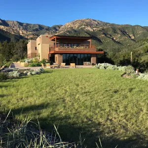 Bouteloua lawn at the Island View Garden