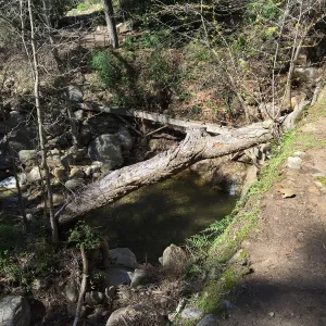 Below Mission Dam after the January 20 rainstorm