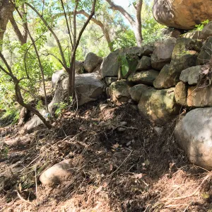 Canyon after the January 20 rainstorm