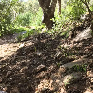 Canyon after the January 20 rainstorm