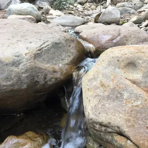 Mission Creek at lower creek crossing
