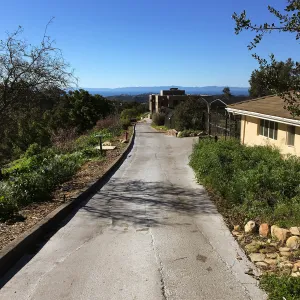 Looking south to PCC from driveway