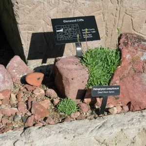 Sandstone Trough, Denver Botanic Garden