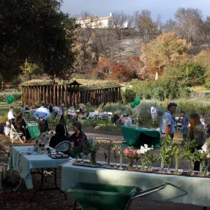 SBBG Members Picnic 2009