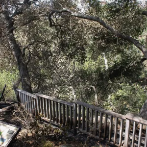 West side of Home Demonstration Garden afterJesusita Fire