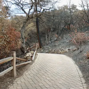 Top of Redwood Trail after Jesusita Fire
