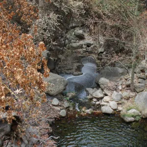 Ash in Mission Creek below Mission Dam after Jesusita Fire