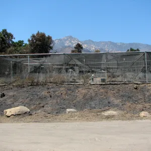 Garden Growers Canyard after Jesusita Fire