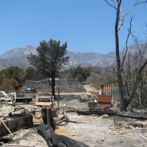 Looking north towards Garden Growers Canyard from Gane House site after Jesusita Fire
