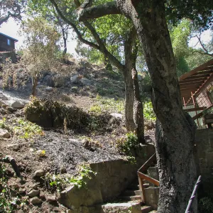 Slope between Library Annex and Weber Studio after Jesusita Fire