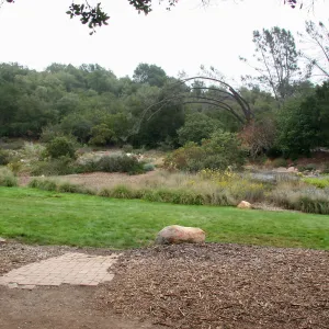 Meadow looking east from Meadow Terrace