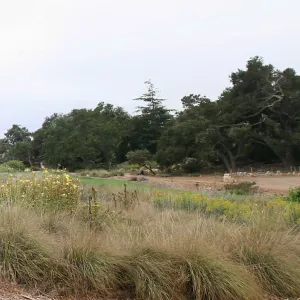 Panoramic view of Meadow from northeast side