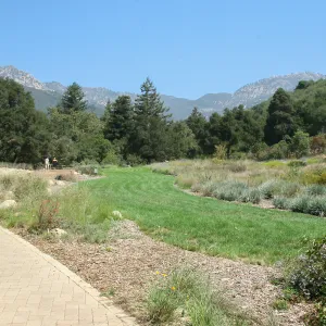 Meadow from Blaksley Boulder area