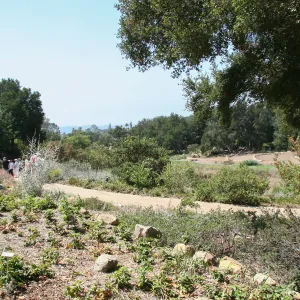 View across Meadow from Meadow View to Meadow Terrace