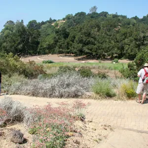 View west across Meadow to Meadow Terrace