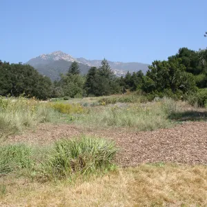 Looking north from middle of Meadow