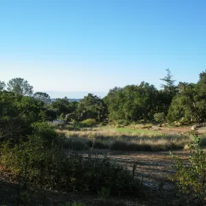 Looking south across Meadow