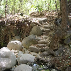 Steps at lower creek crossing