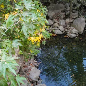 Pool below Mission Dam