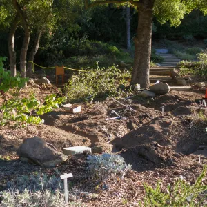 Irrigation installation in Meadow View