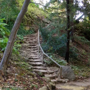 Redwood Section, Indian Steps