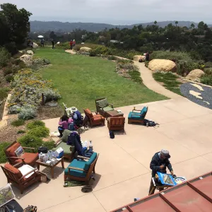 SCAPE painters at Island View Garden
