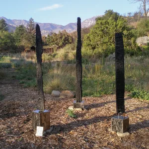 â€˜Dawn' by Doug Lochner, Art from the Ashes