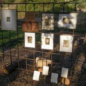 Works by Joy Feuer, Art from the Ashes