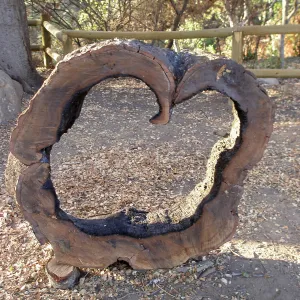 Art from the Ashes