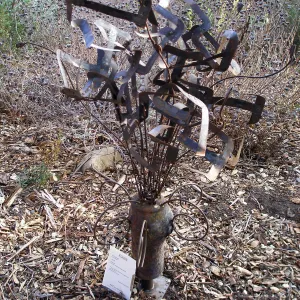 Art from the Ashes