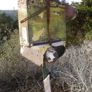 â€˜Rocko' by Joan Robey, Art from the Ashes