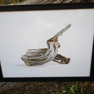 â€˜Botanic Gardens 2' by David Gala, Art from the Ashes