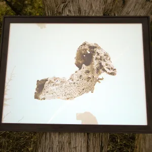 Photograph by David Gala, Art from the Ashes