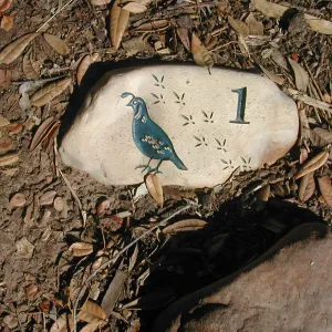 â€œNature Loves a Detectiveâ€ marker