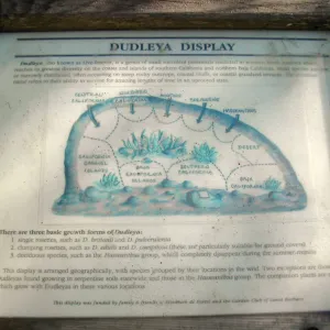 Dudleya Display Interpretive signage