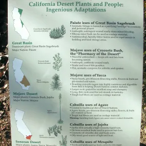 â€œCalifornia Desert Plants and People: Ingenious Adaptationsâ€ interpretive signage