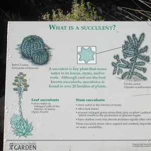 â€œWhat is a Succulent?â€ interpretive signage