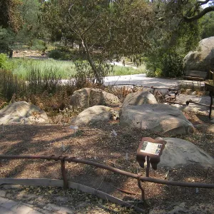 Orchid Display after Jesusita Fire