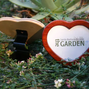 2006 Member items, picture frame