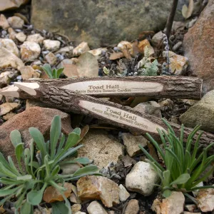 2006 Member items, Toad Hall pencils