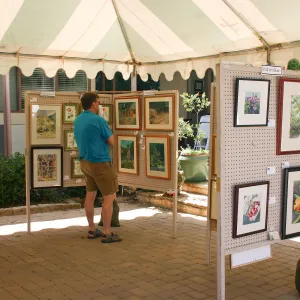 Goleta Valley Art Association Exhibit
