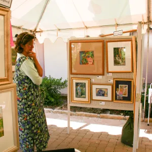 Goleta Valley Art Association Exhibit