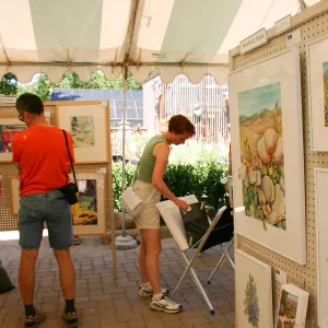 Goleta Valley Art Association Exhibit